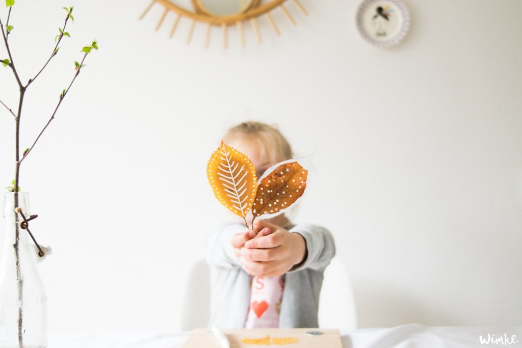 Gedroogde bladeren - DIY - www.wimke.nl