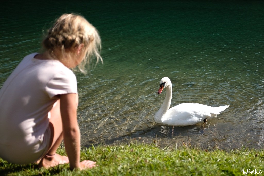 Tussenstop in het betoverende Fernsteinsee Oostenrijk - wimke.nl