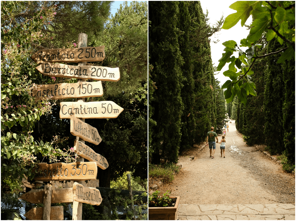 Fattoria La Vialla - wimke.nl