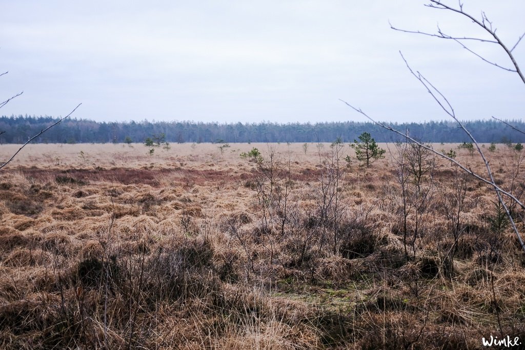 Een weekend in Boshuis Friesche Duin in Appelscha