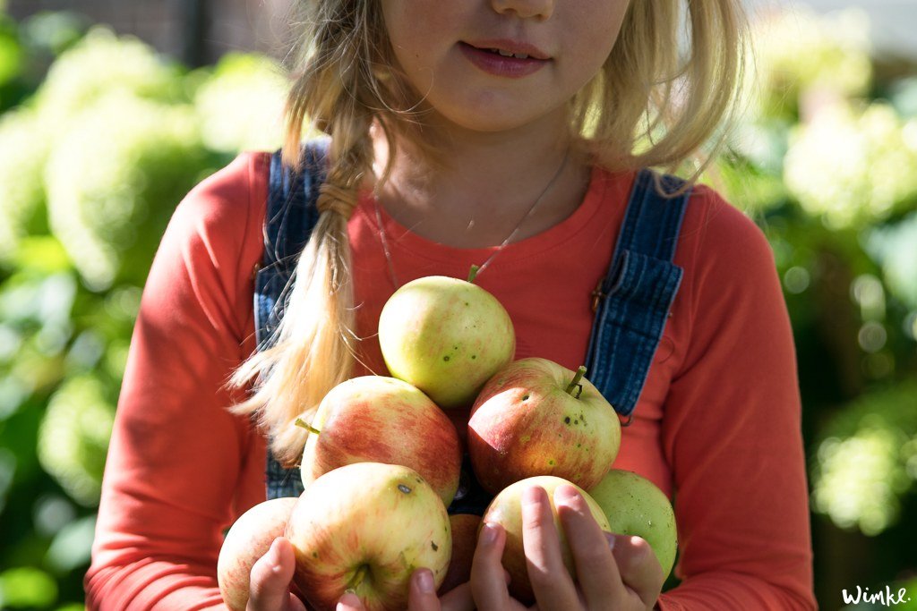 Appelchips maken - www.wimke.nl