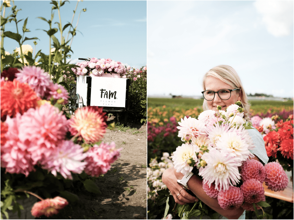 Lunchen tussen de dahlia's van FAM Flower Farm - www.wimke.nl