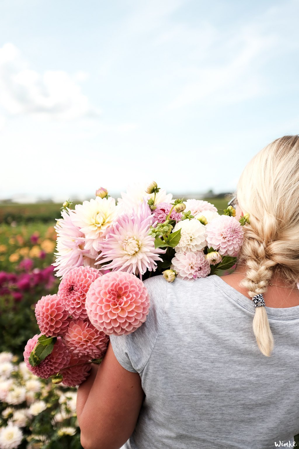 Lunchen tussen de dahlia's van FAM Flower Farm - www.wimke.nl