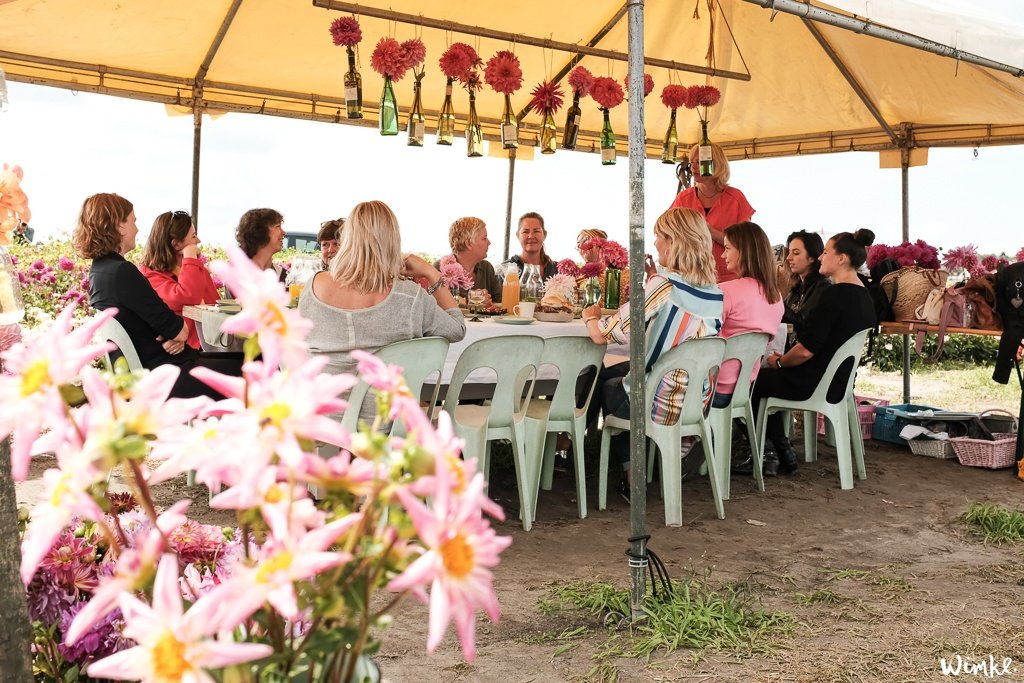 Lunchen tussen de dahlia's van FAM Flower Farm - www.wimke.nl