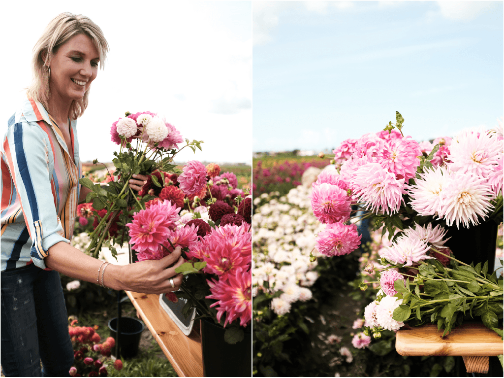 Lunchen tussen de dahlia's van FAM Flower Farm - www.wimke.nl