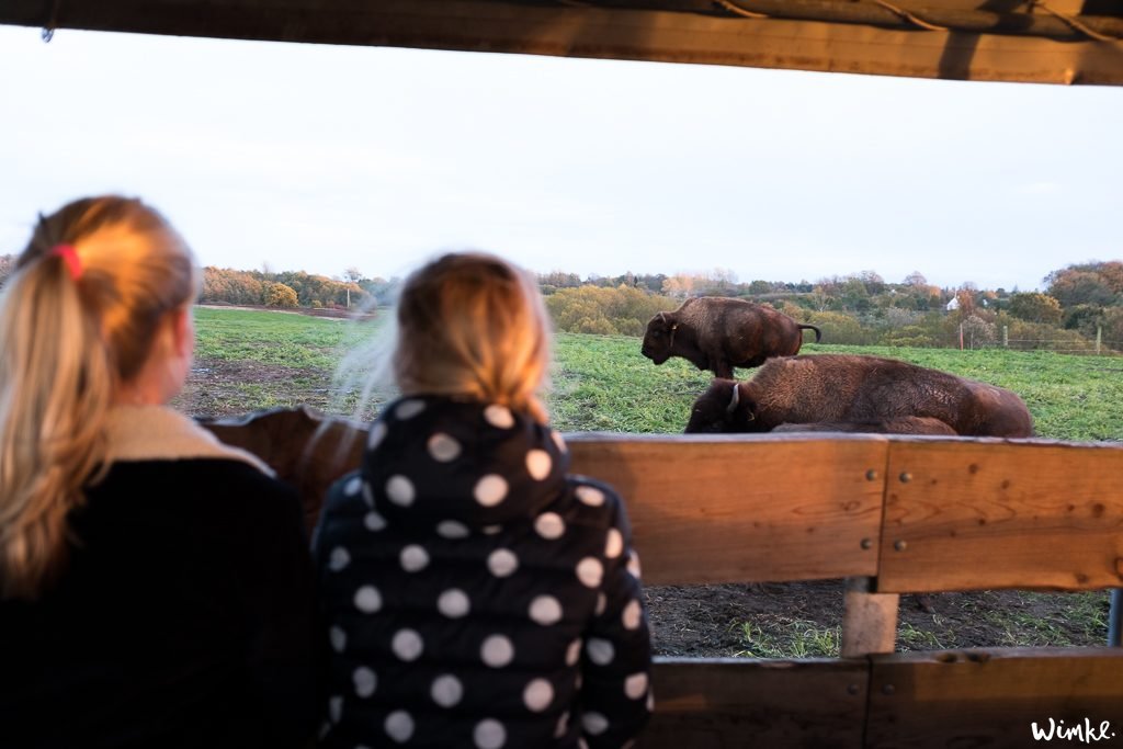 Hygge op Funen, een blog vol tips voor een vakantie naar Denemarken wimke.nl