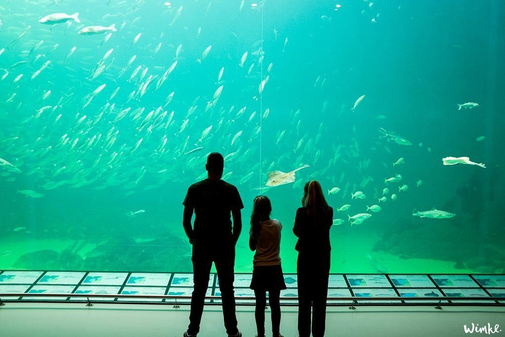 Oceanarium - www.wimke.nl